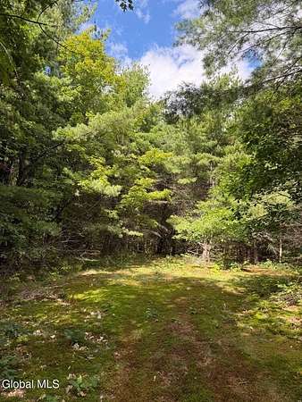 6.7 Acres of Land for Sale in Berne, New York