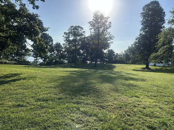 4.87 Acres of Residential Land for Sale in Golconda, Illinois