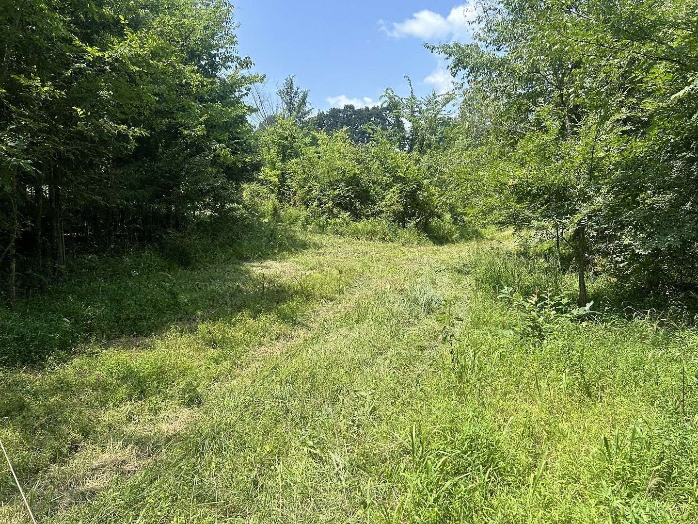 17 Acres of Recreational Land for Sale in Golconda, Illinois