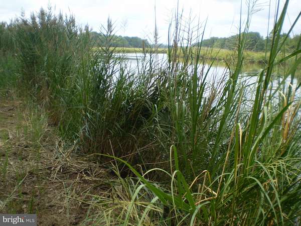 2.69 Acres of Residential Land for Sale in Princess Anne, Maryland