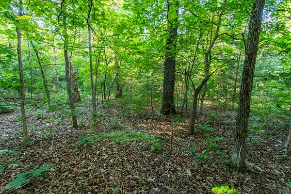 0.41 Acres of Residential Land for Sale in Horseshoe Bend, Arkansas
