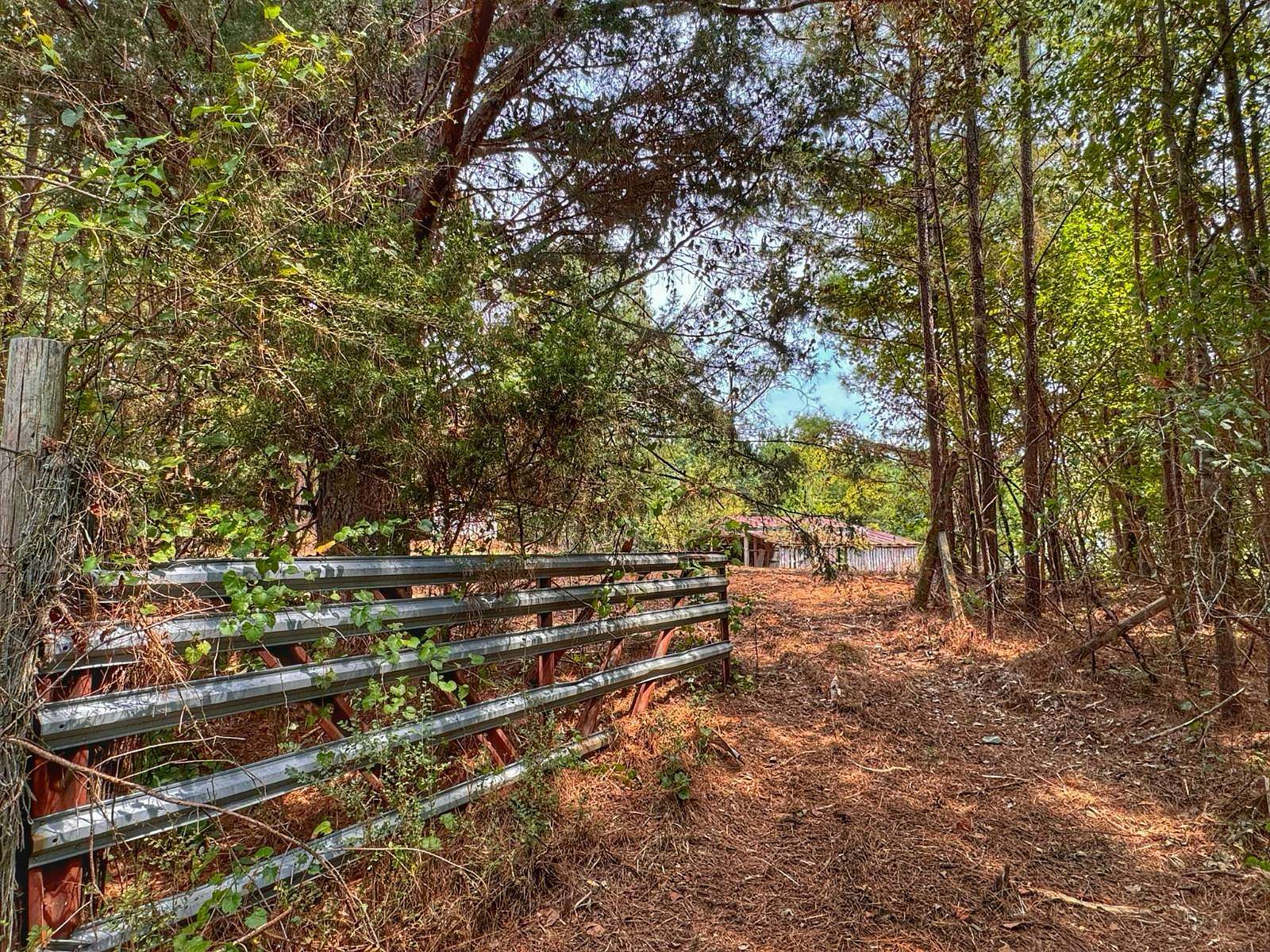 10.4 Acres of Recreational & Residential Land for Sale in Detroit, Alabama