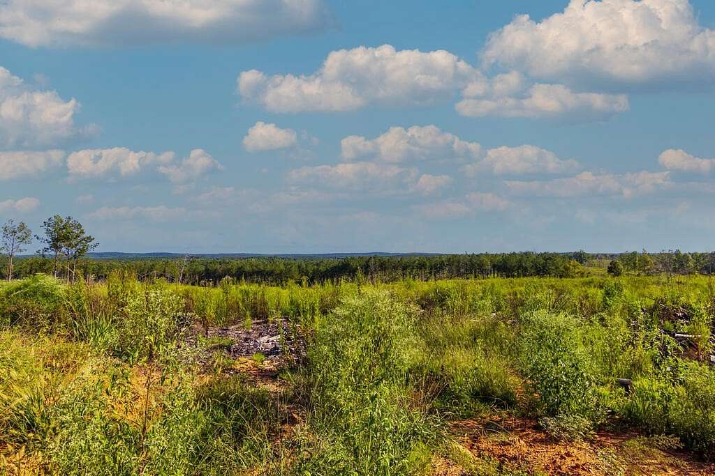 45.2 Acres of Recreational & Residential Land for Sale in Woodland, Georgia