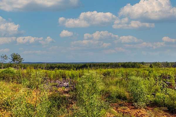 45.2 Acres of Recreational & Residential Land for Sale in Woodland, Georgia