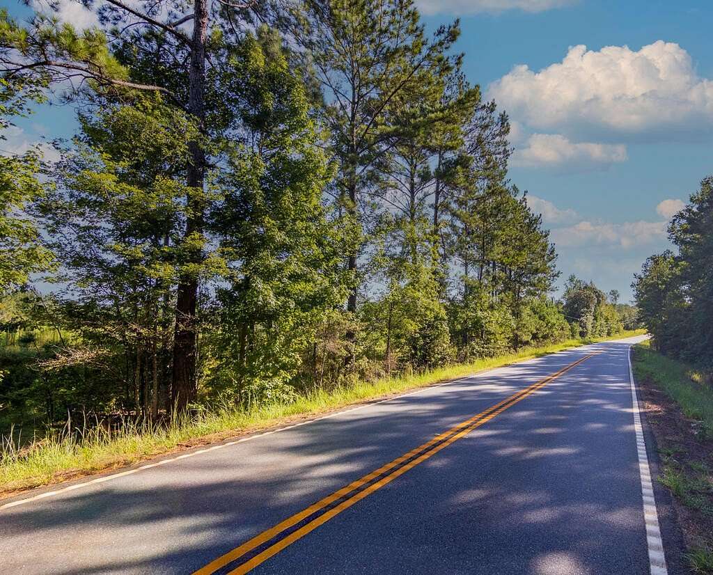 32 Acres of Recreational & Residential Land for Sale in Woodland, Georgia