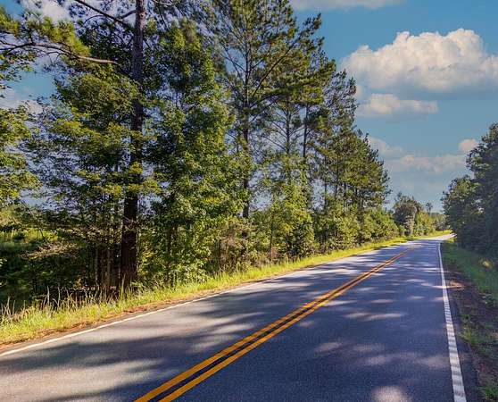32 Acres of Recreational & Residential Land for Sale in Woodland, Georgia