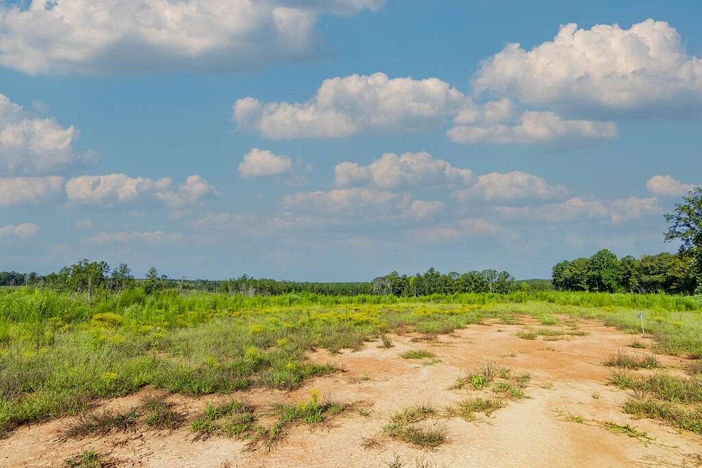 15.2 Acres of Recreational & Residential Land for Sale in Woodland, Georgia
