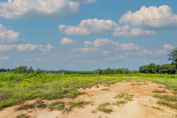15.2 Acres of Recreational & Residential Land for Sale in Woodland, Georgia