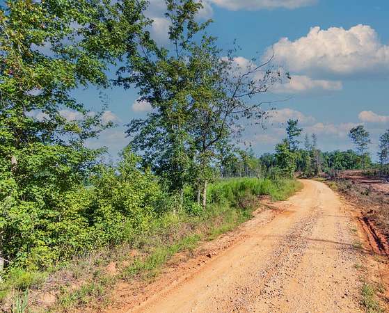 38.7 Acres of Recreational & Residential Land for Sale in Woodland, Georgia