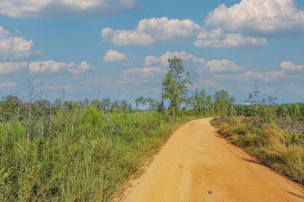 30.8 Acres of Recreational & Residential Land for Sale in Woodland, Georgia
