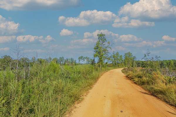 30.8 Acres of Recreational & Residential Land for Sale in Woodland, Georgia