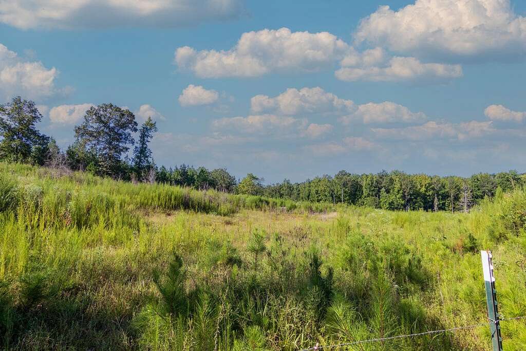 15.7 Acres of Recreational & Residential Land for Sale in Woodland, Georgia