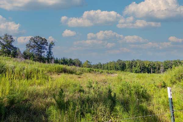 15.7 Acres of Recreational & Residential Land for Sale in Woodland, Georgia