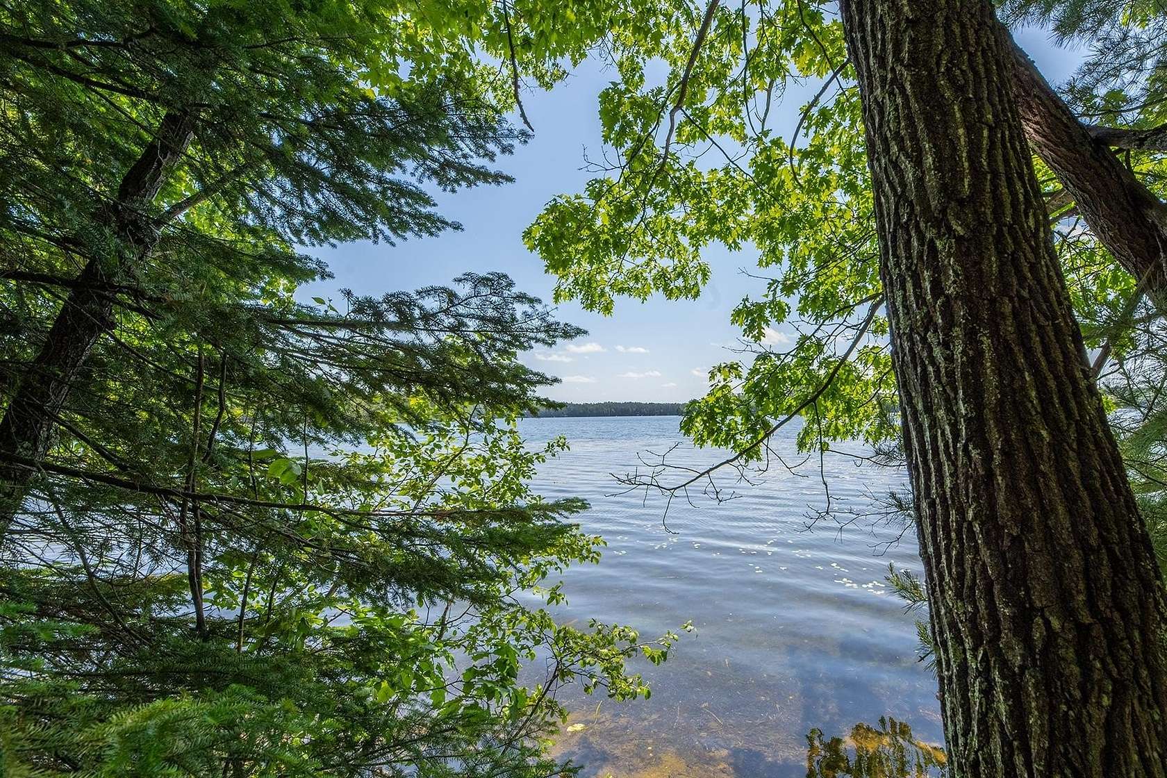 0.57 Acres of Land for Sale in Eagle River, Wisconsin