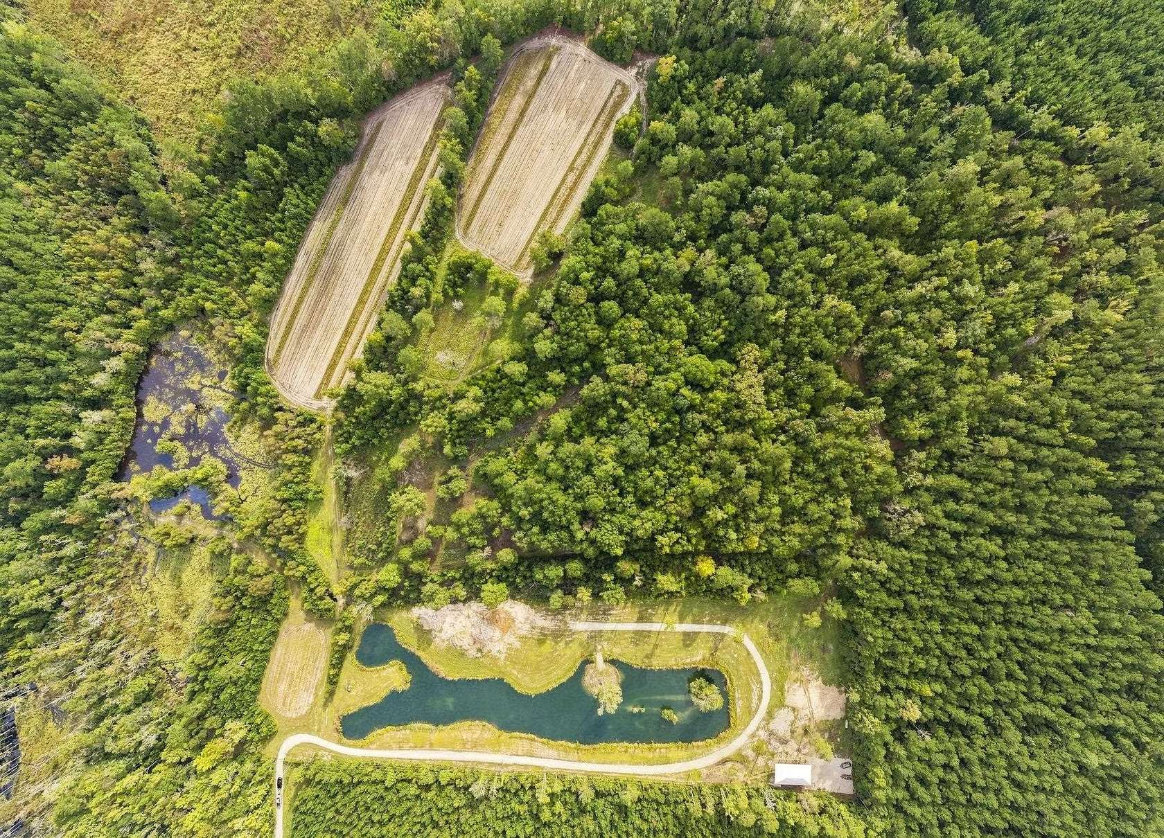 46 Acres of Land for Sale in Conway, South Carolina