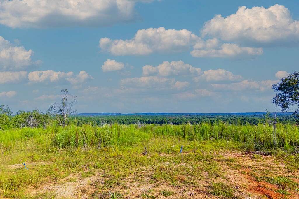 52.2 Acres of Recreational & Residential Land for Sale in Woodland, Georgia