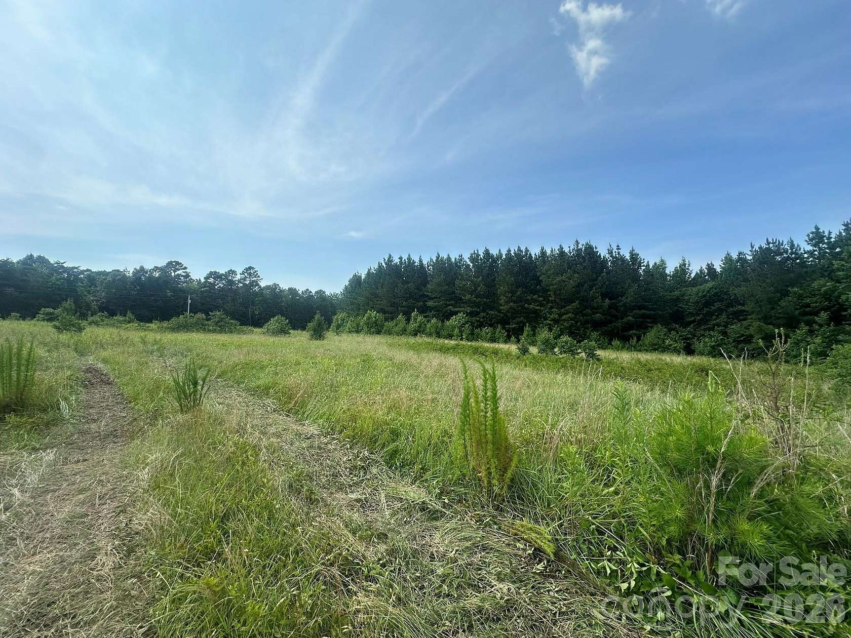 10 Acres of Residential Land for Sale in Iron Station, North Carolina