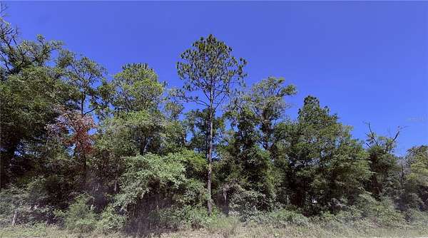 2.34 Acres of Residential Land for Sale in Bronson, Florida