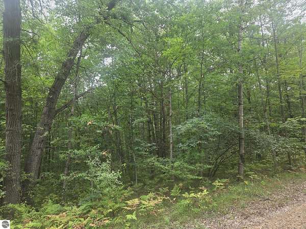 0.34 Acres of Land for Sale in Weidman, Michigan