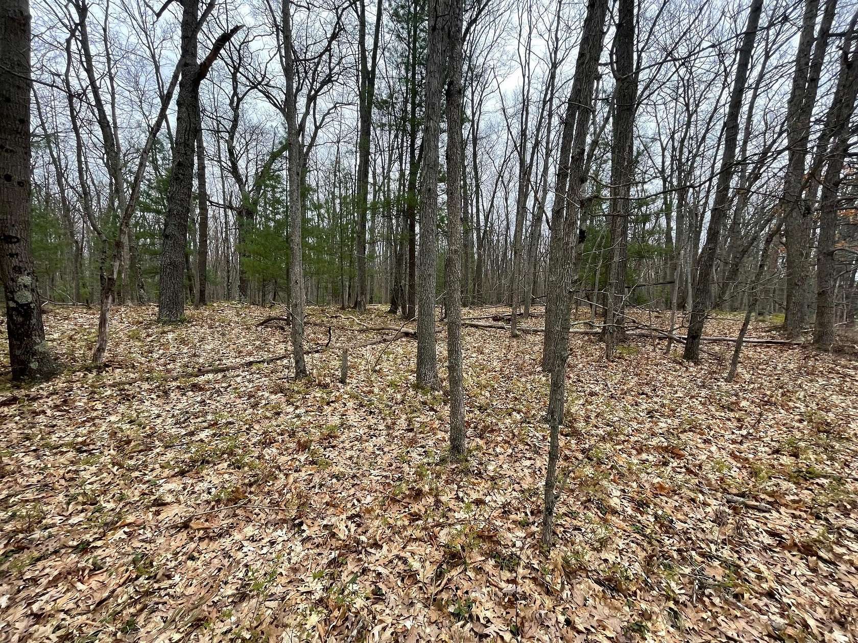 39 Acres of Recreational Land for Sale in Brethren, Michigan