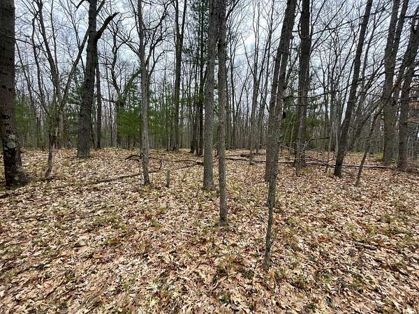 39 Acres of Recreational Land for Sale in Brethren, Michigan