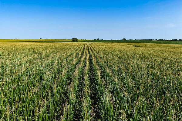 146 Acres of Land for Sale in Jefferson, Iowa