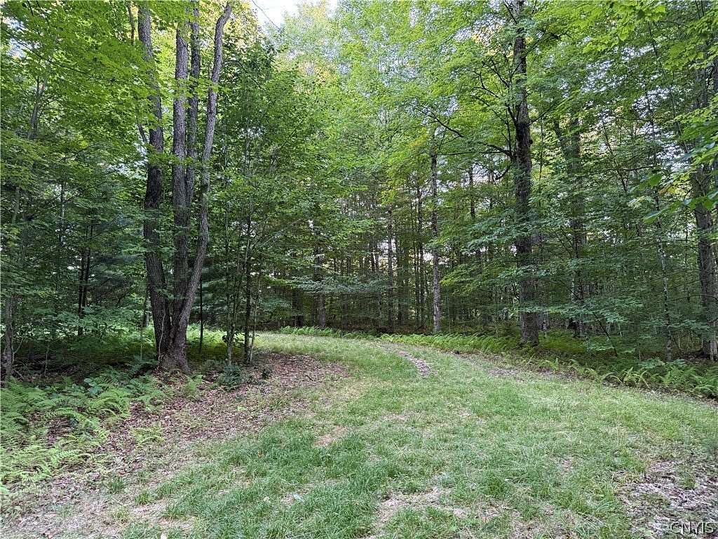 3 Acres of Improved Residential Land for Sale in Boonville, New York