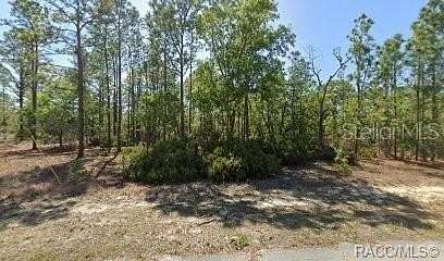0.26 Acres of Land for Sale in Citrus Springs, Florida