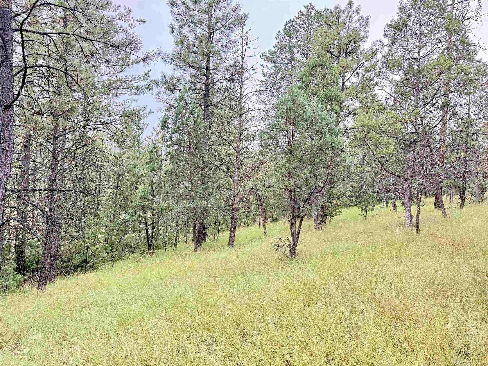 3.53 Acres of Land for Sale in Cloudcroft, New Mexico