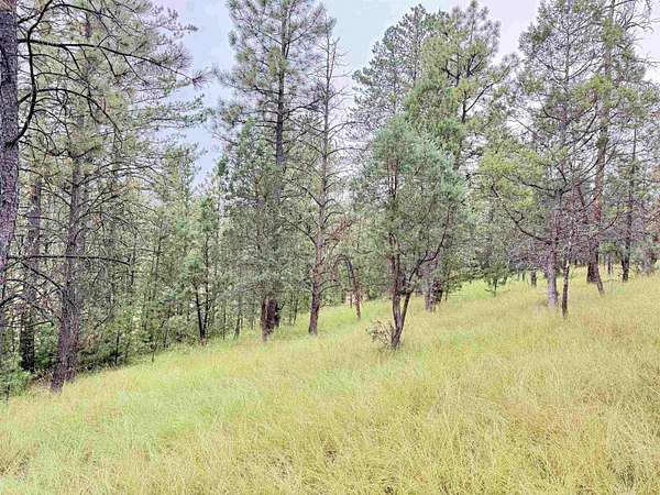 3.53 Acres of Land for Sale in Cloudcroft, New Mexico