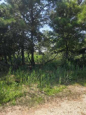 0.26 Acres of Residential Land for Sale in Chincoteague, Virginia