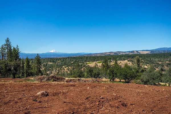228 Acres of Recreational & Residential Land for Sale in Shingletown, California