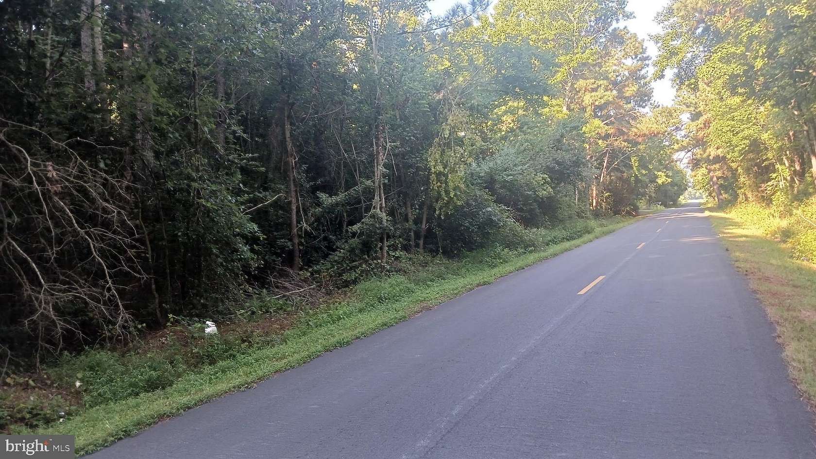 34.3 Acres of Recreational & Residential Land for Sale in Parsonsburg, Maryland