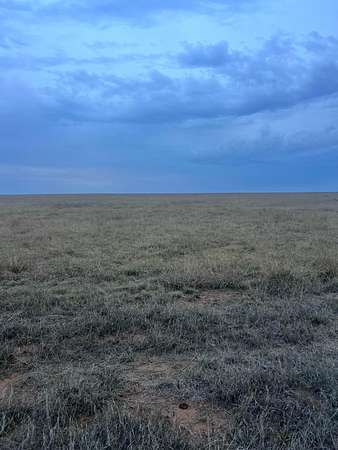 10 Acres of Land for Sale in Canyon, Texas