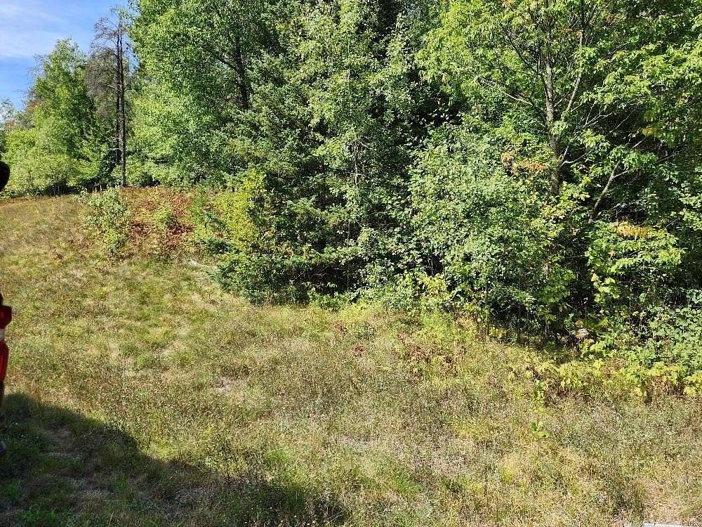 5 Acres of Residential Land for Sale in Harshaw, Wisconsin