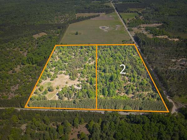 20 Acres of Recreational & Residential Land for Sale in Kaleva, Michigan