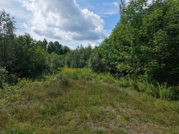 60 Acres of Recreational Land for Sale in Weston, Maine