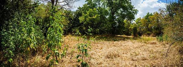 0.16 Acres of Land for Sale in Terrell, Texas