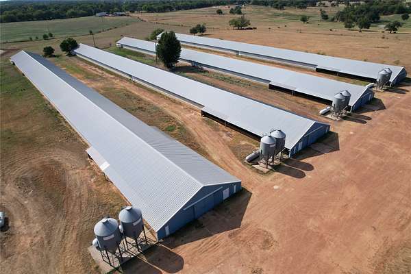 19 Acres of Land for Sale in Como, Texas