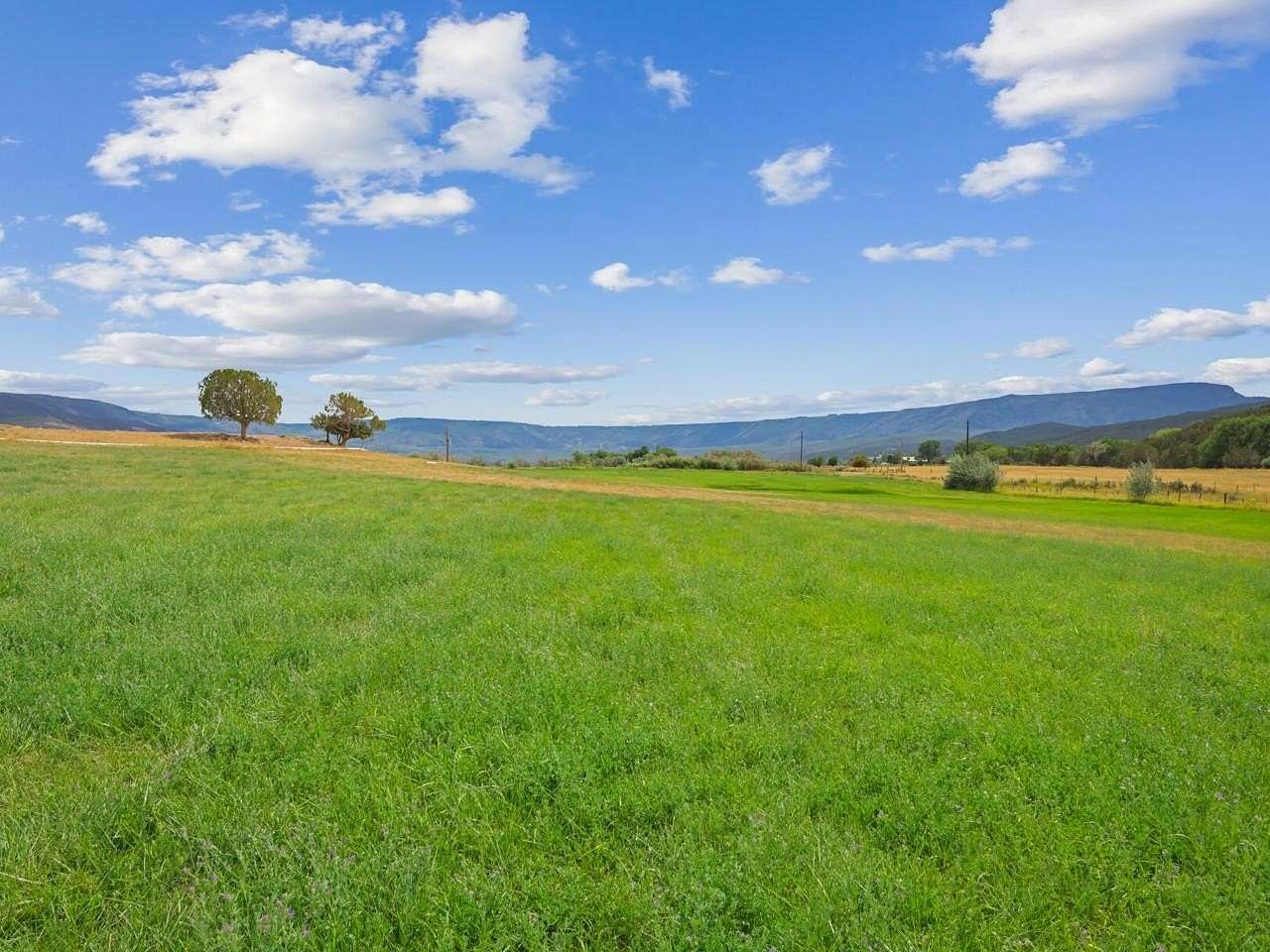 27.5 Acres of Land for Sale in Mesa, Colorado