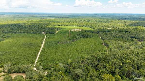57 Acres of Land for Sale in Molino, Florida