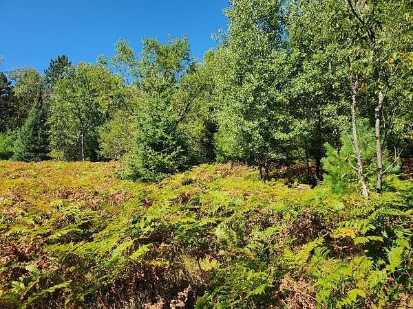 5 Acres of Residential Land for Sale in Harshaw, Wisconsin