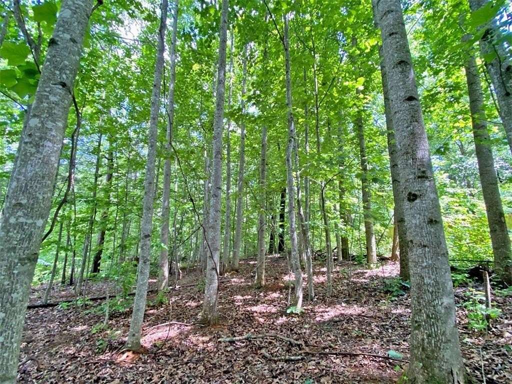 39.2 Acres of Recreational Land for Sale in Dahlonega, Georgia