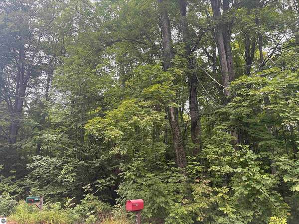 0.35 Acres of Residential Land for Sale in Cedar, Michigan