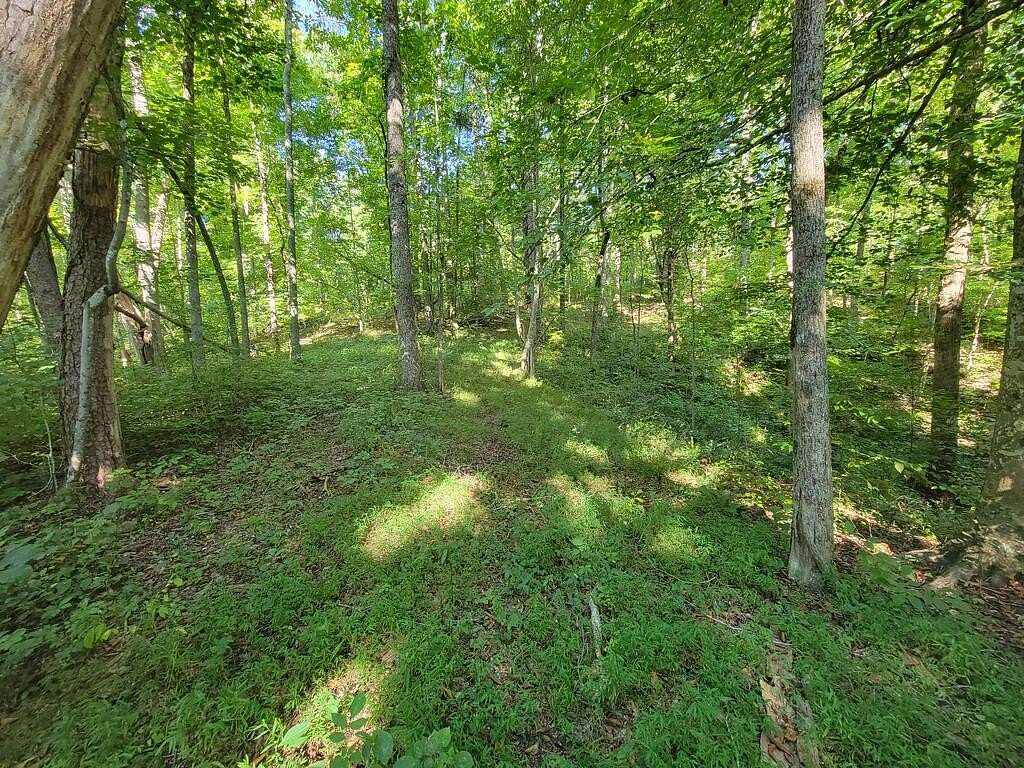 6.25 Acres of Residential Land for Sale in Rock Island, Tennessee