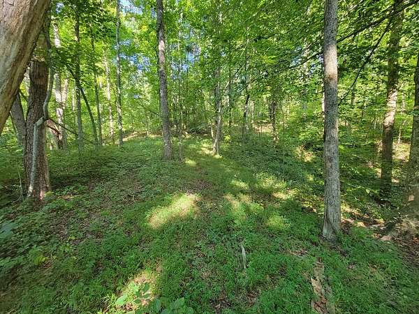 6.25 Acres of Residential Land for Sale in Rock Island, Tennessee