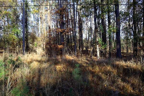 0.5 Acres of Residential Land for Sale in Sparta, Georgia