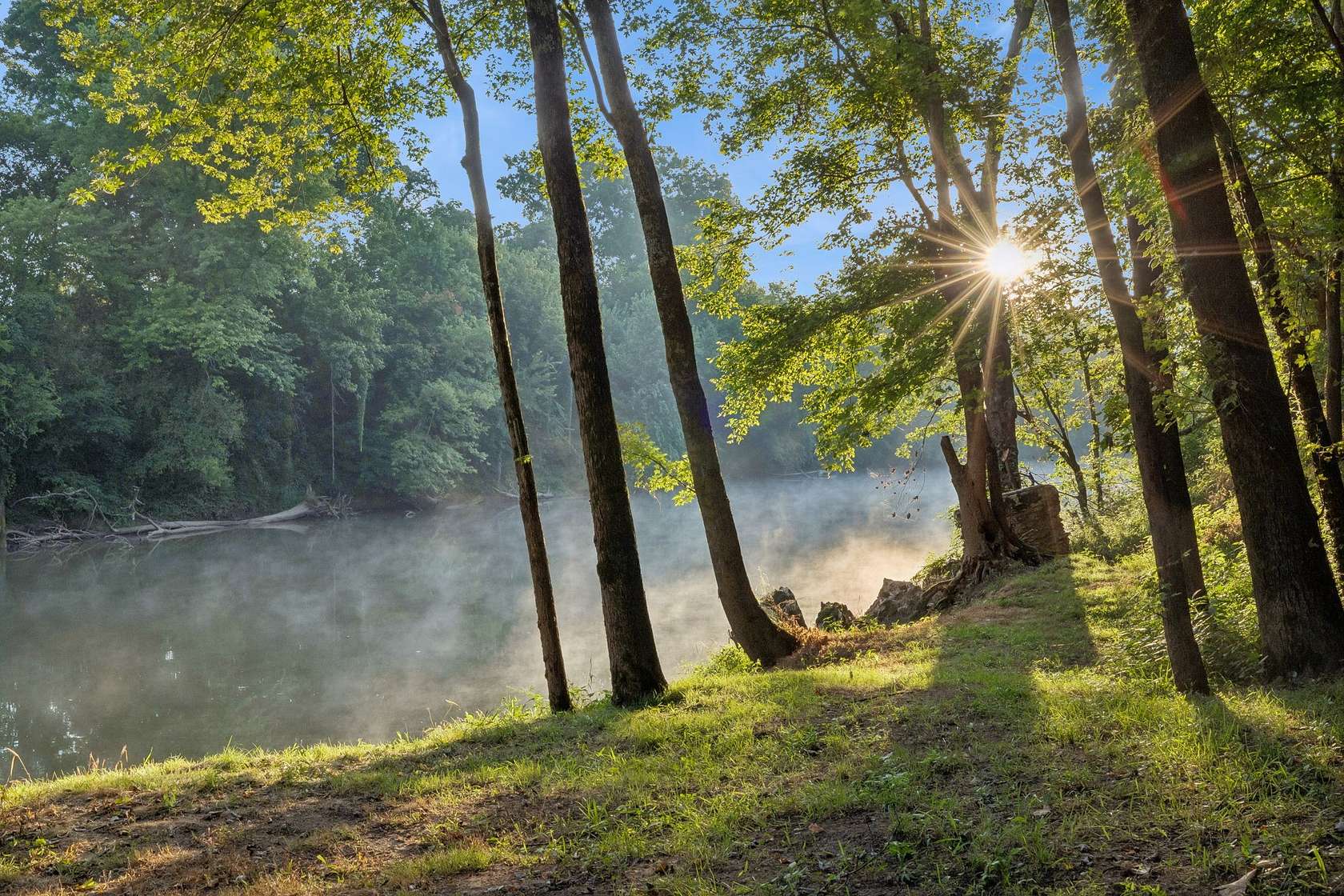 57.7 Acres of Land for Sale in Lewisburg, Tennessee