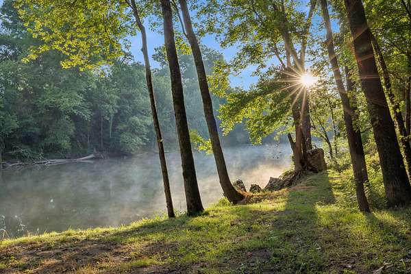 57.7 Acres of Land for Sale in Lewisburg, Tennessee