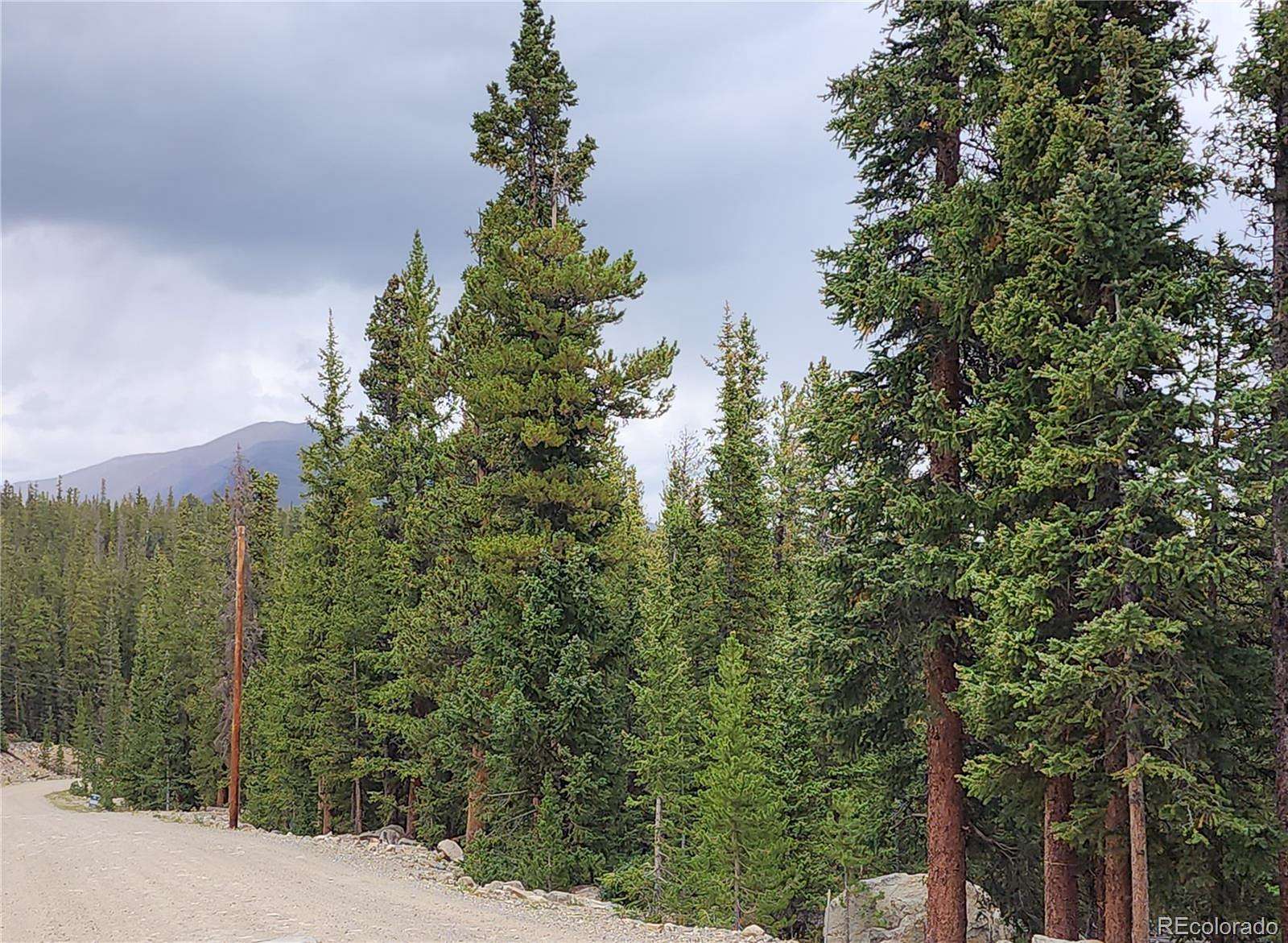 1.25 Acres of Residential Land for Sale in Fairplay, Colorado